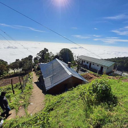 Dostel: Backpacker Hostel Kodaikanal Exteriér fotografie