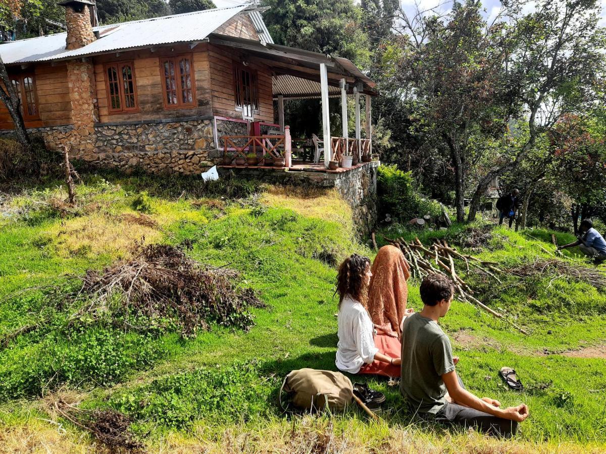 Dostel: Backpacker Hostel Kodaikanal Exteriér fotografie