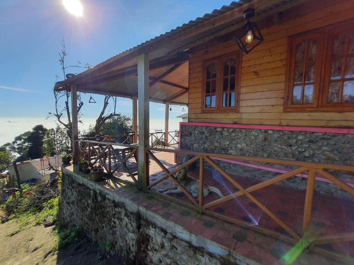 Dostel: Backpacker Hostel Kodaikanal Exteriér fotografie