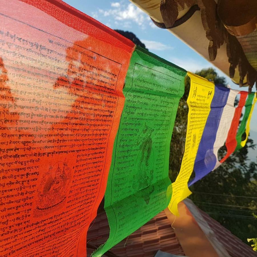 Dostel: Backpacker Hostel Kodaikanal Exteriér fotografie